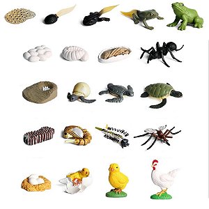 Miniaturas e flashcards ciclos de vida dos animais