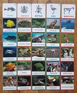 Flashcards de Animais Vertebrados e Invertebrados