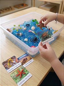 Atividades sensoriais temáticas prontas para montar