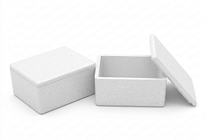 caixas térmicas Isoterm de 250g, 500g e 1kg - Kit/10un | Isoterm