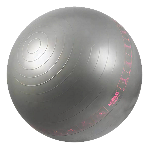 Bola Suíça Para Pilates 65 Cm Cinza Liveup Ls3577-c