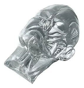 Face Realista Para Pratica De Harmonizacao Facial (Translucida) 30x20