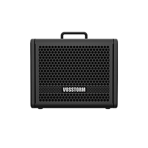 Amplificador Para Guitarra 8 Pol 25w Gx-8 Vosstorm