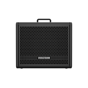 Amplificador Para Guitarra 10 Pol 40w Gx-10 Vosstorm