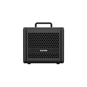 Amplificador Para Guitarra 6 Pol 15w Gx-6 Vosstorm
