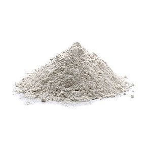 Leite de Coco em Pó.