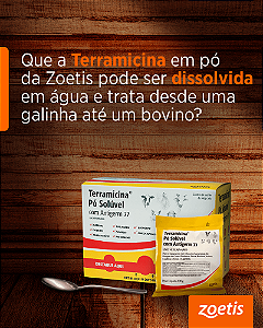 Terramicina Pó Solúvel 100g