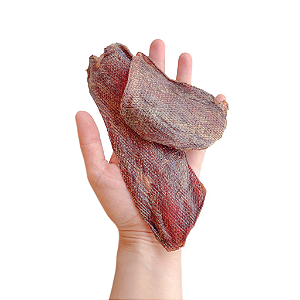 Esôfago BOVINO 100G