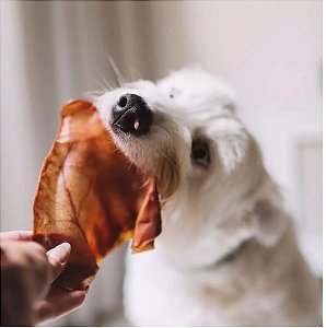 Orelha Suína PETNATURAU (2 unid)