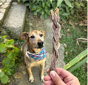 Esôfago Suíno Trançado - PETNATURAU