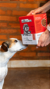 Alimentação Natural THD - SACHÊ 200G - Boi, Arroz & Abobrinha