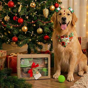 Caixa especial de Natal - 6 itens