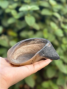 Casco de Boi 1 uni Pet Bem