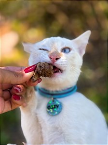 Churrasquinho Suíno - Pulmão de porco 60g - PET BEM