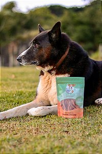 Lombinho Crocante para Cães e Gatos PET BEM - 60g