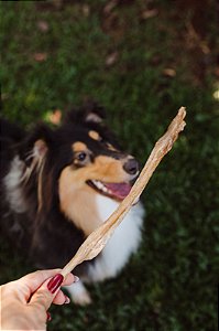 TENDÃO BOVINO / BOI G 3UN - LUV