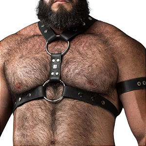 Harness Couro Legítimo Gladiador Mr Leather