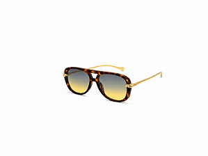 ÓCULOS VINTAGE- LENTE DEGRADÊ
