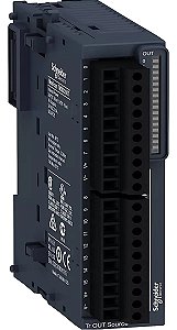 Modulo Schneider Tm3dq16t 16 Saídas Source 24v Tm3 Modicon