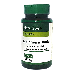 Espinheira Santa