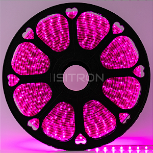 Mangueira Led 100 Metros Rosa IP67 5050 Chata