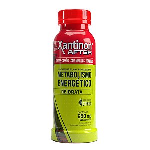 Isotônico Xantinon After Citrus 250ml