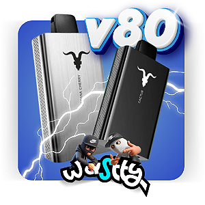 IGNITE v80