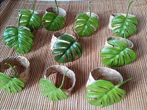 Porta Guardanapo Costela De Adão Em Palha R$9,99 cd