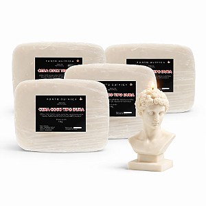 Kit 4kg Cera de Coco Dura para Velas 100% Vegetal Ponto Química