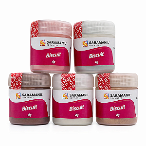 Kit 5 Pó Metais para Biscuit 4g Saramanil