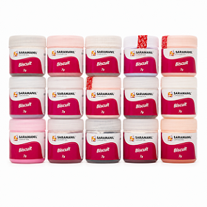 Kit 15 Corante em Pó p/ Biscuit Cores Essênciais Saramanil