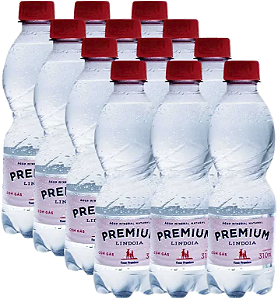Kit 12 Água Mineral Com Gas Premium 510ml Lindoia