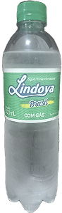 Água Mineral Com Gas 500ml Lindoya Brasil