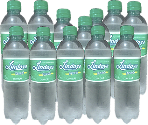 Kit 12 Água Mineral Com Gas 500ml Lindoya Brasil