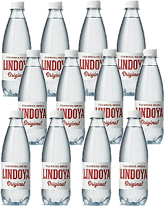 Kit 12 Água Mineral Com Gas Premium 510ml Lindoya Original