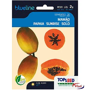 S Mamao Sunrise Solo - Topseed