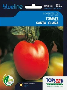 S Tomate Santa Clara 2,5g - Topseed