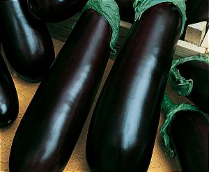 Semente Berinjela Comprida Roxa 5g - Topseed