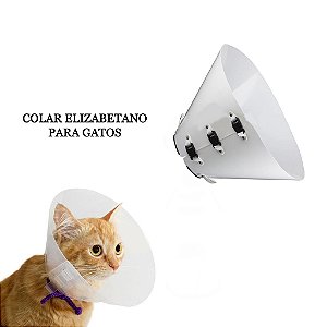 Colar Elizabetano Gato N4 - Club Pet