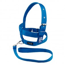 Conj Peitoral/guia Fbi Dupla Regulagem Azul N7 Club Pet