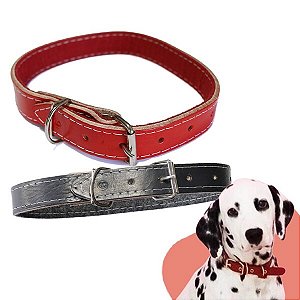 Coleira Forrada Couro N5 (50 X 2cm)