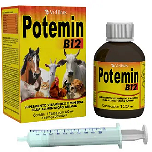 POTEMIN ORAL B12 120 ML