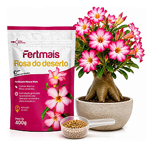 FERTMAIS ROSA DO DESERTO 400GR