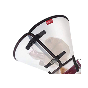 COLAR ELIZABETANO N.05 (pesc.36-42cm x comp 20-24cm)