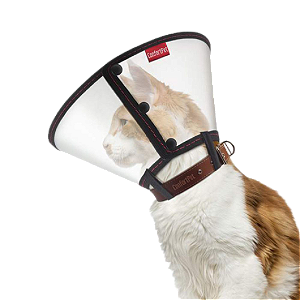 COLAR ELIZABETANO GATO M