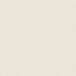 Papel de Parede Enzo - Infantil - 294-3 - Vinílico