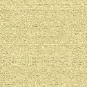 Papel de Parede Texture 2 - Textura - TX-2009 - Vinílico