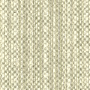 Papel de Parede Texture 2 - Palha - TX-2016 - Vinílico