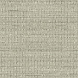 Papel de Parede Texture 3 - Palha - TX-3009 - Vinílico