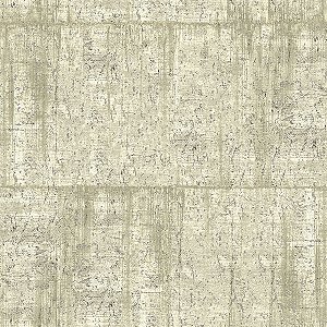 Papel de Parede Texture 3 - Cimento Queimado - TX-3015 - Vinílico